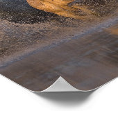 Frankreich, Provence. Weiße Camargue-Pferde Poster (Ecke)