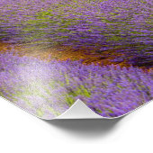 Frankreich, Region Provence. Kurven Fotodruck (Ecke)