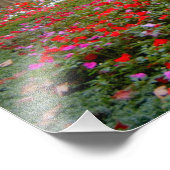 Frankreich, St. Remy de Provence, Cloisters bei 2 Fotodruck (Ecke)