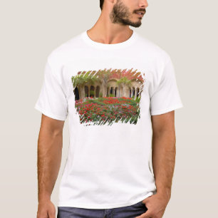 Frankreich, St. Remy de Provence, Kreuzgang um 3 T-Shirt