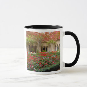 Frankreich, St. Remy de Provence, Kreuzgang um 3 Tasse