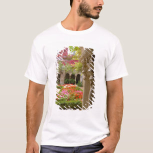 Frankreich, St. Remy de Provence, Kreuzgänge in T-Shirt
