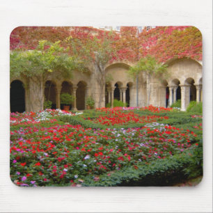 Frankreich, St. Remy de Provence, Kreuzgänge um 3 Mousepad