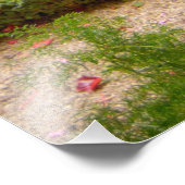 Frankreich, St. Remy de Provence, Schließung bei 3 Fotodruck (Ecke)