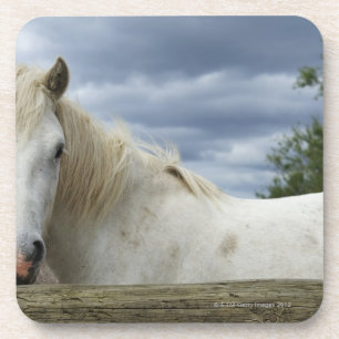 Frankreich Untersetzer