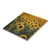 Frankreich, Vaucluse, Sonnenblumenfeld Fliese (Seite)