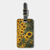 Frankreich, Vaucluse, Sonnenblumenfeld Gepäckanhänger (Vorderseite vertikal)
