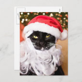 Franny Claus Sad Santa Kitty Feiertagspostkarte (Vorne/Hinten)