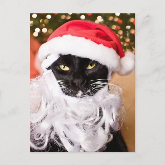 Franny Claus Sad Santa Kitty Feiertagspostkarte (Vorderseite)