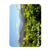 Franschhoek Weinberge Magnet (Vertikal)