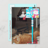 Franscious und Lennart Postkarten (Vorne/Hinten)