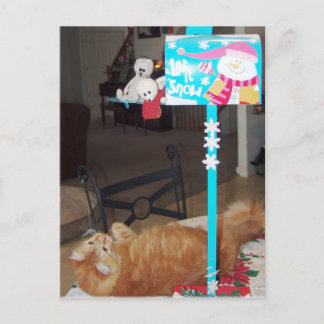 Franscious und Lennart Postkarten