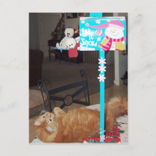 Franscious und Lennart Postkarten (Vorderseite)