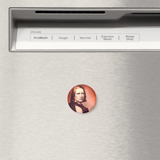 Franz Liszt Magnet (In Situ (Geschirrspüler))