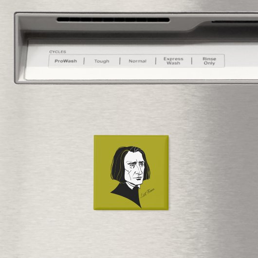 Franz Liszt Magnet (In Situ (Geschirrspüler))