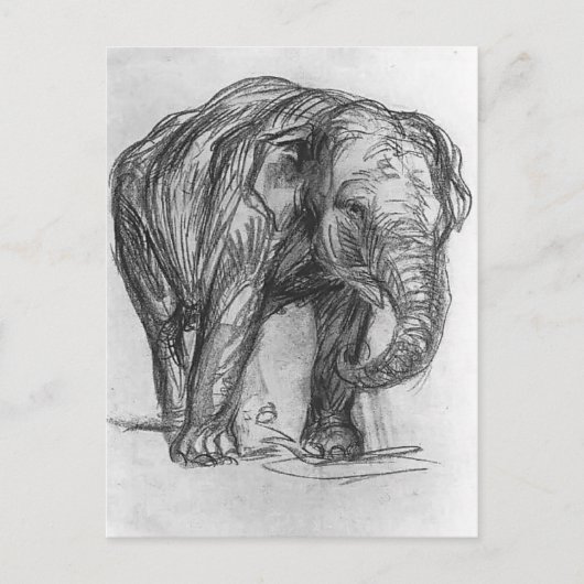 Franz Marc - Elephant Postkarte (Vorderseite)