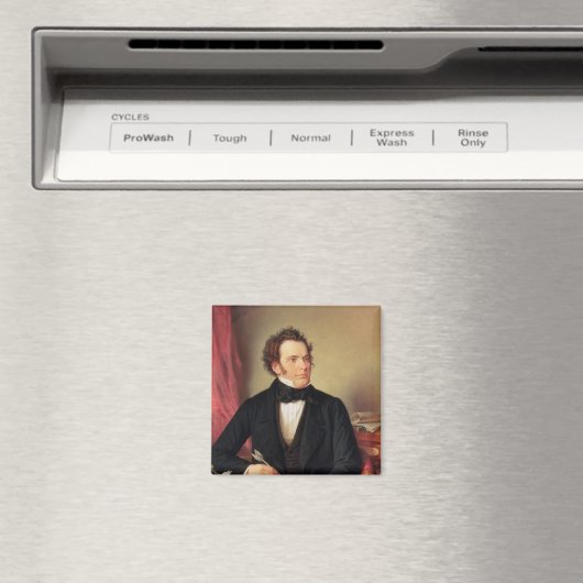 Franz Peter Schubert Magnet (In Situ (Geschirrspüler))
