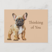 Franziskus denkt an dich postkarte (Vorderseite)