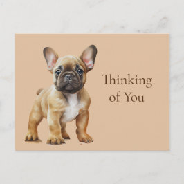 Franziskus denkt an dich postkarte