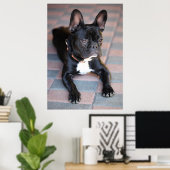 Französch Bulldog Poster (Heimbüro)