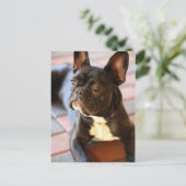 Französch Bulldog Postkarte (Stehend Vorderseite)