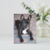 Französch Bulldog Postkarte (Stehend Vorderseite)