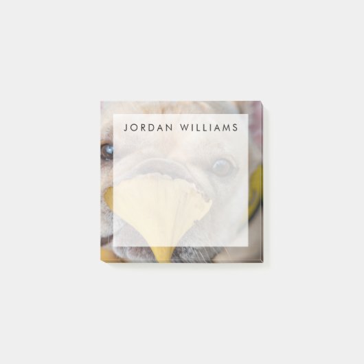 Franzose Post-it Klebezettel (Vorderseite)