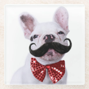 Franzose-Stier-Hundewelpe mit dem Schnurrbart Glasuntersetzer