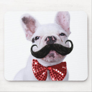 Franzose-Stier-Hundewelpe mit dem Schnurrbart Mousepad