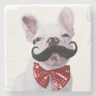 Franzose-Stier-Hundewelpe mit dem Schnurrbart Steinuntersetzer