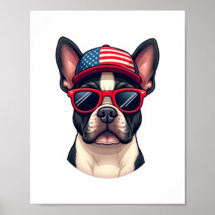 Franzose trägt USA-Farben (4) Poster