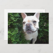 Französin auf Patrol Postkarte (Vorne/Hinten)