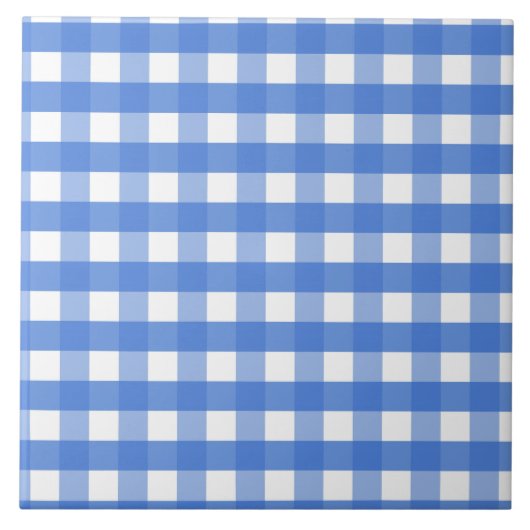 Französisch Blau und Weiß Gingham Fliese (Vorderseite)