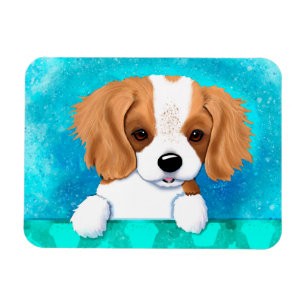 Französisch Bretagne Puppy Magnet