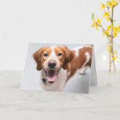 Französisch-Bretagne Spanische Grußkarte Karte (Gelbe Blume)