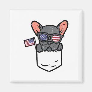 Französisch Bulldog Pocket Frenchie American USA 4 Magnet
