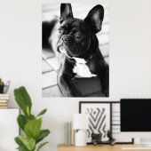 Französisch Bulldog Poster (Heimbüro)