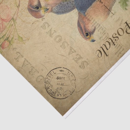 Französisch Ephemera Gosbeak Bird Rose Blumendekou Seidenpapier (Ausschnitt)