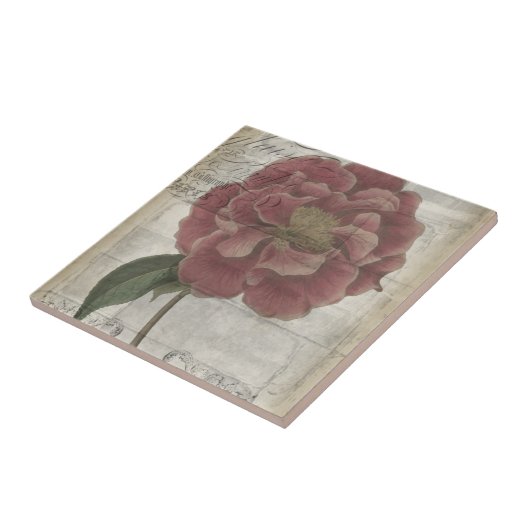 Französisch-Floral III Fliese (Seite)