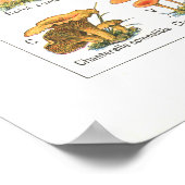 Französisch giftig essbare Pilze Varieté Print Poster (Ecke)