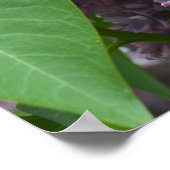 Französisch Lilacs Poster (Ecke)