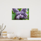 Französisch Lilacs Poster (Küche)
