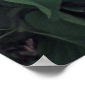 Französisch Lilacs Poster (Ecke)