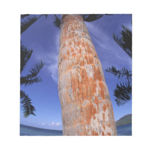Französisch-Polynesien, Bora Bora, Palmen Notizblock