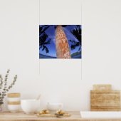 Französisch-Polynesien, Bora Bora, Palmen Poster (Küche)