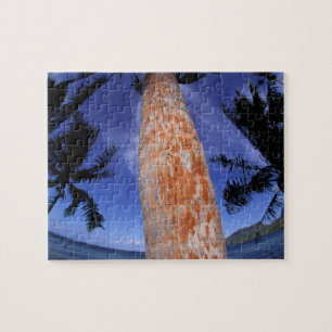 Französisch-Polynesien, Bora Bora, Palmen Puzzle