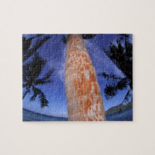 Französisch-Polynesien, Bora Bora, Palmen Puzzle (Horizontal)