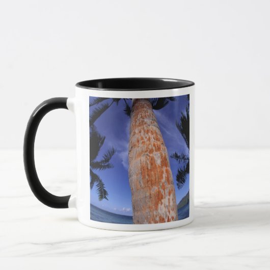Französisch-Polynesien, Bora Bora, Palmen Tasse (Links)