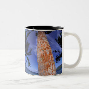 Französisch-Polynesien, Bora Bora, Palmen Zweifarbige Tasse