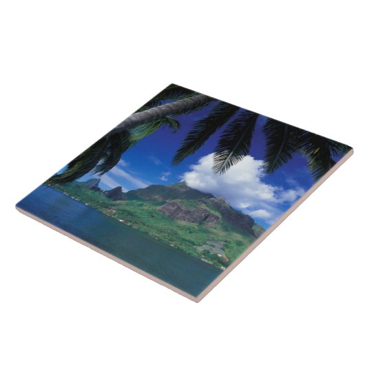 Französisch-Polynesien, Moorea. Cooks Bay.Grün Fliese (Seite)